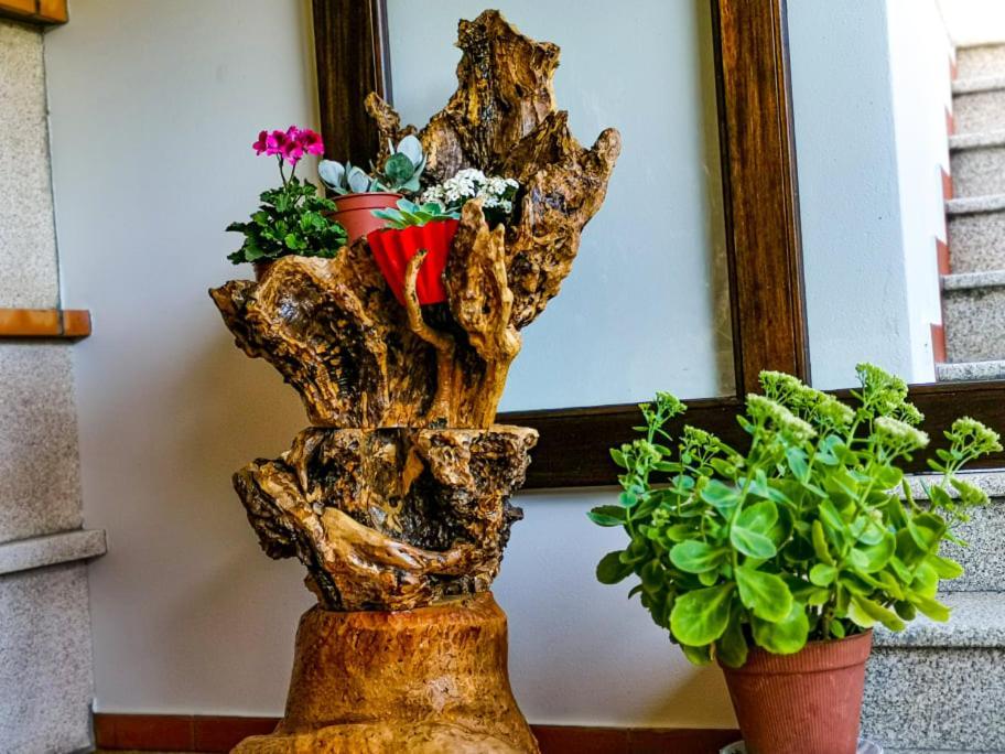 Casa Carolina Guest House Vila Seca  ภายนอก รูปภาพ
